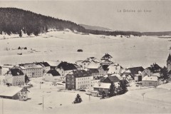 Brevine_en_hiver_CDU